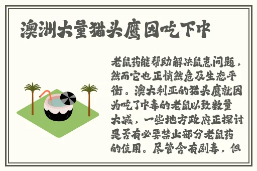 国产传媒精品1区2区3区